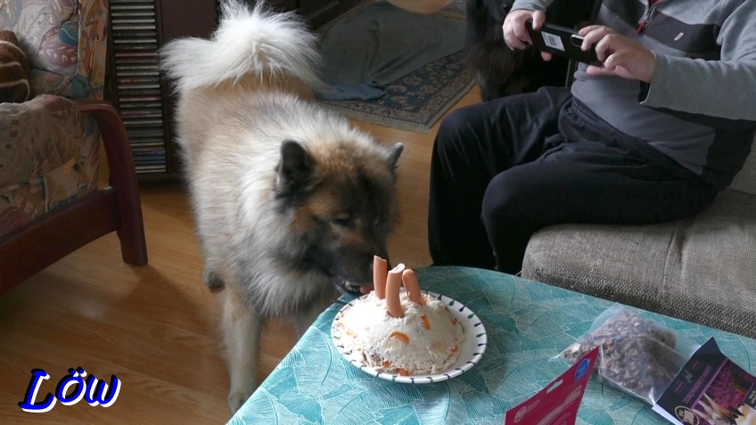 11.12.2025  - Dwix pirscht sich der Geburtstagtorte an